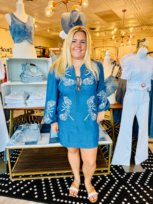 PUFF SLEEVE EMBROIDERED MINI DRESS