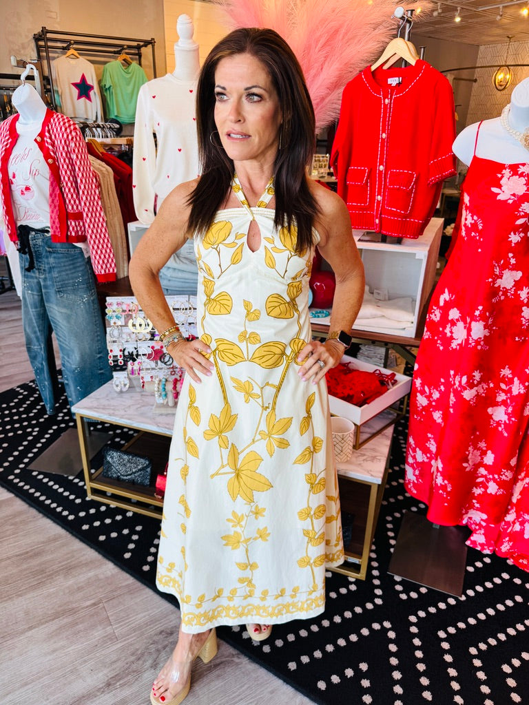 AYLAYA ZOEY PRINTED HALTER NECK MAXI DRESS