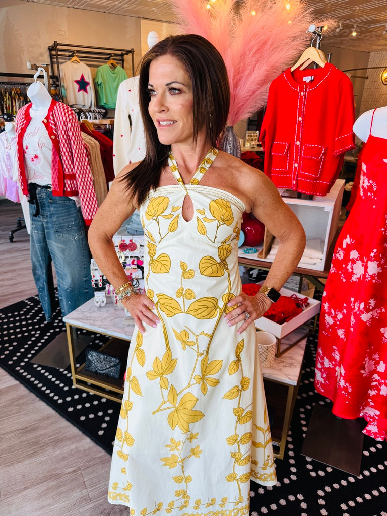 AYLAYA ZOEY PRINTED HALTER NECK MAXI DRESS