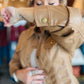 CINCHED SLV FAUX LEATHER PEPLUM SHIRT JACKET